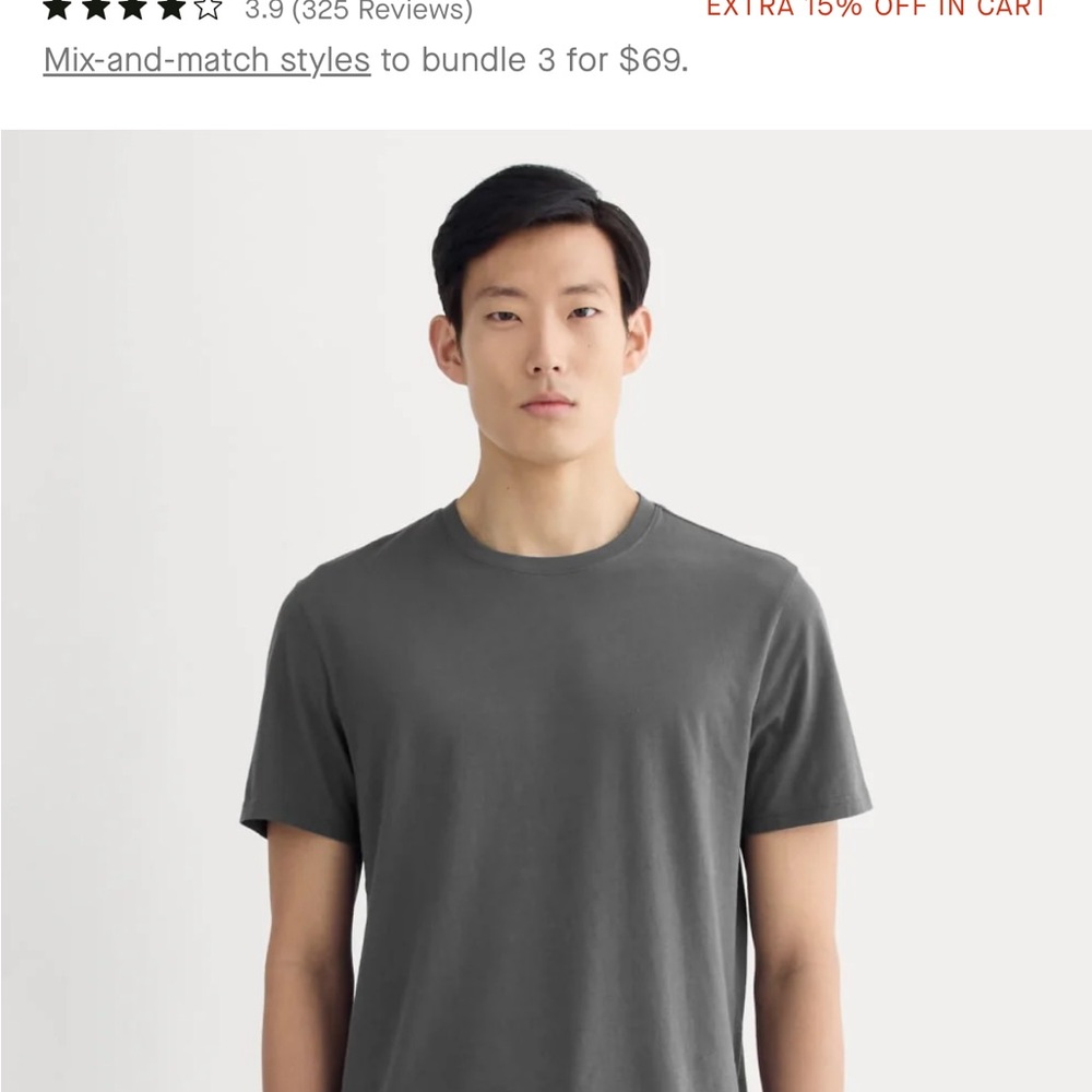 Everlane essential (thick cotton) T-shirt in graphite